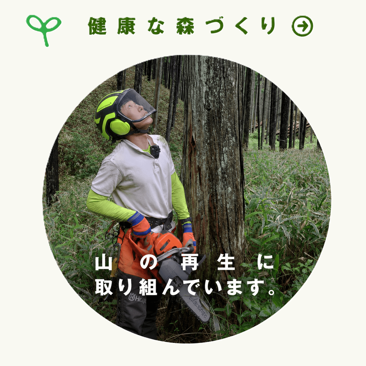 健康的な森づくり 山の再生に取り組んでいます