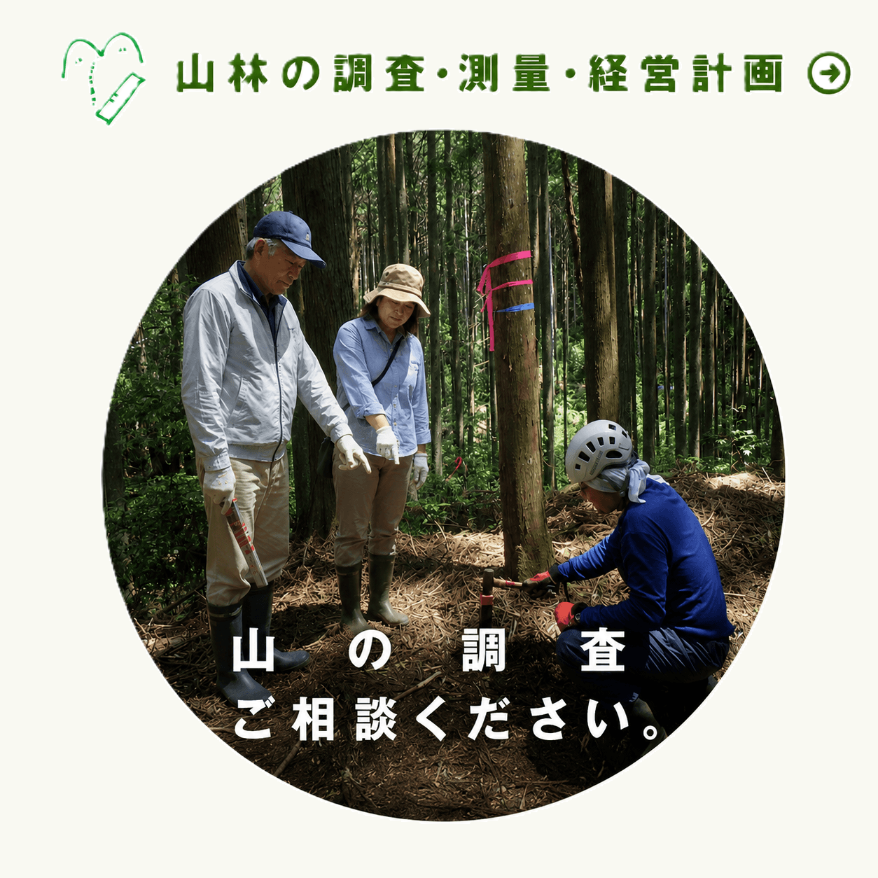 山林の調査・測量・経営計画 山の調査ご相談ください