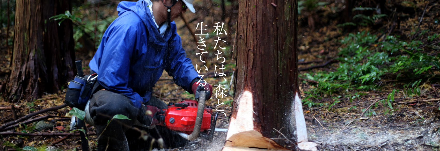 私たちは、森と、生きている。